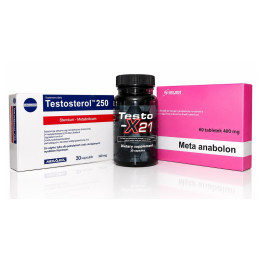 Zestaw Testosterol 250 + Testo X21 + Meta Anabolon | Hardmasa